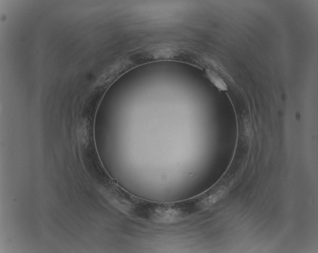 X0000073900311200608181005