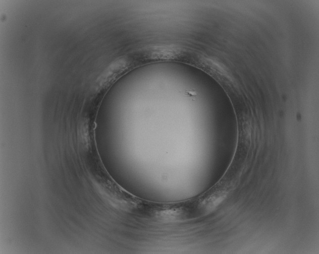 X0000073900312200608181005