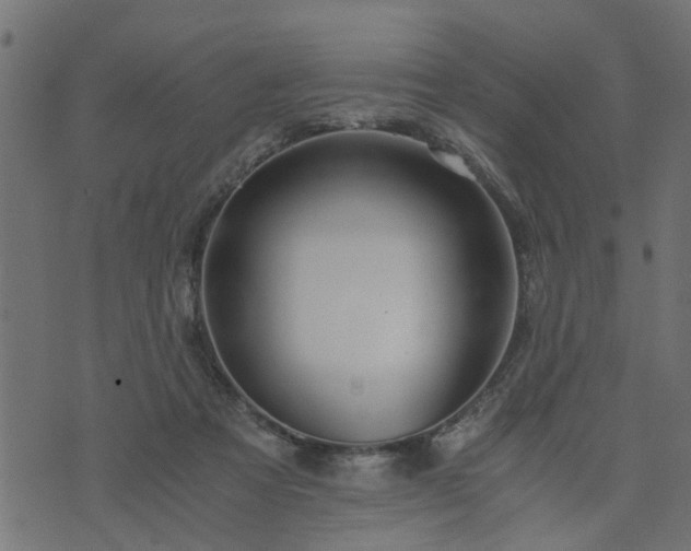 X0000073900313200608181005