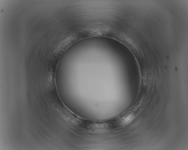 X0000073900314200608181005