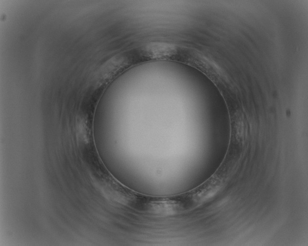 X0000073900316200608181005