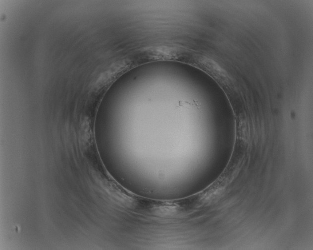 X0000073900318200608181005