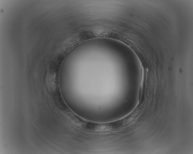 X0000073900319200608181005