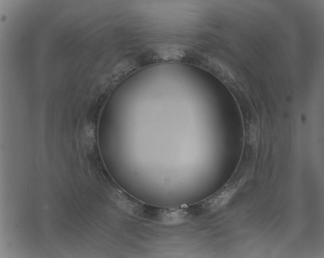 X0000073900321200608181005