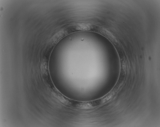 X0000073900322200608181005