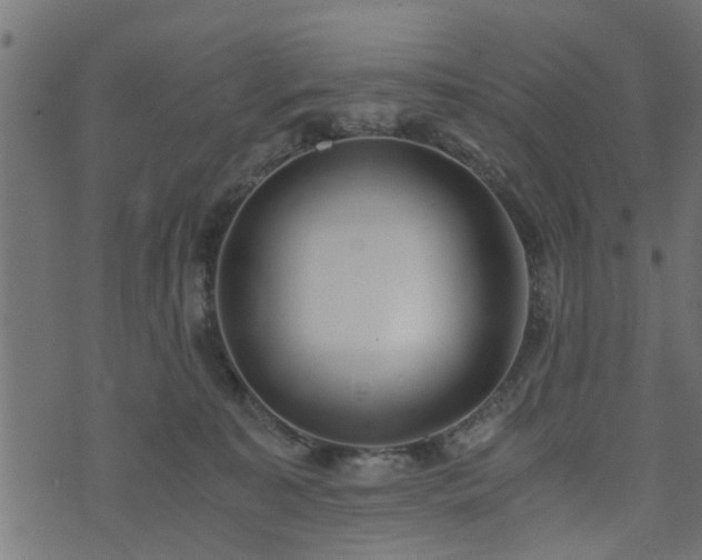 X0000073900323200608181005