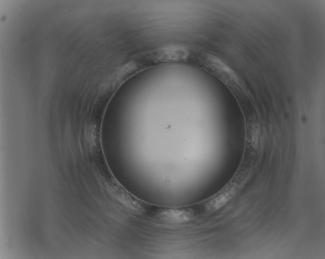 X0000073900326200608181005