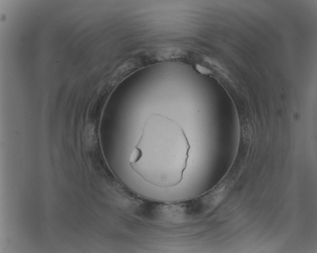 X0000073900327200608181005