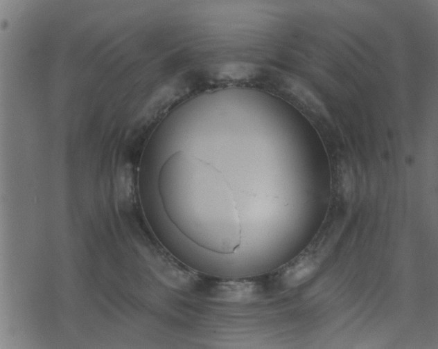 X0000073900328200608181005