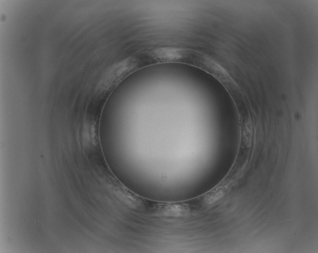 X0000073900330200608181005