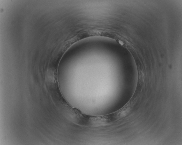 X0000073900331200608181005