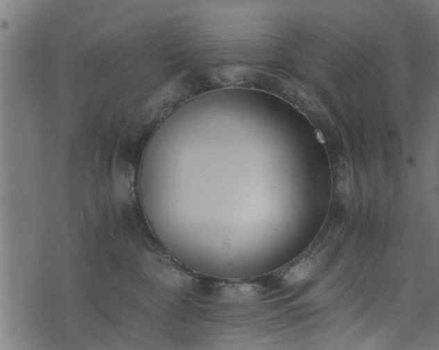 X0000073900332200608181005