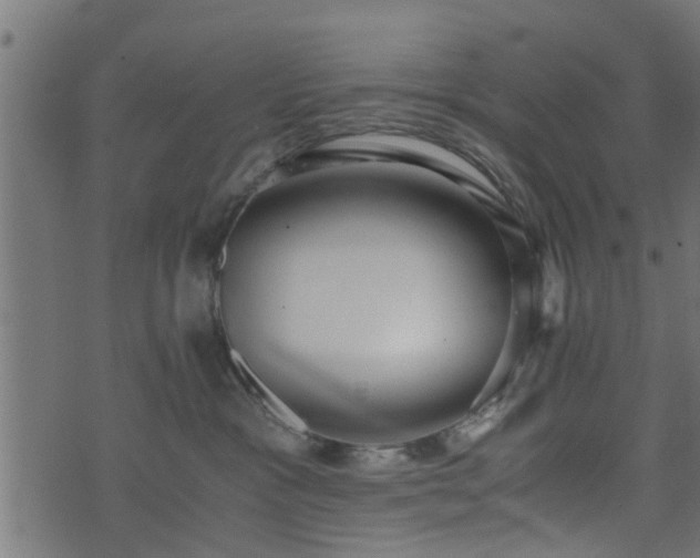 X0000073900333200608181005