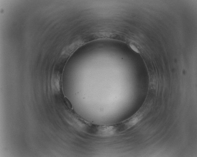 X0000073900334200608181005