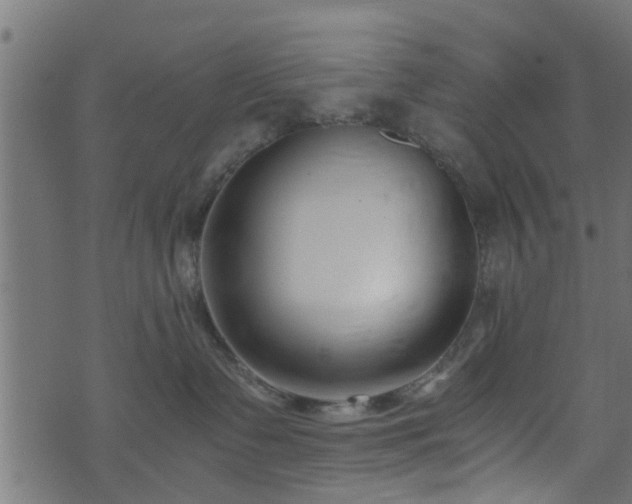 X0000073900335200608181005