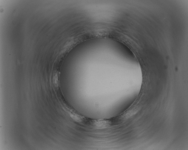 X0000073900336200608181005