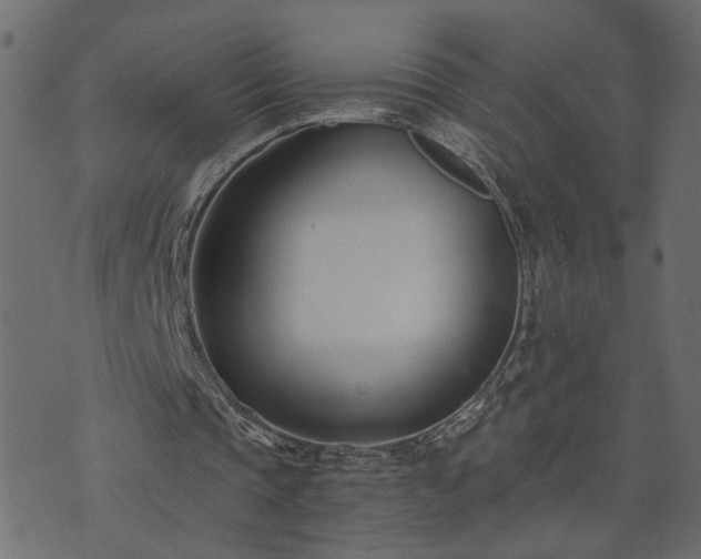 X0000073900337200608181004