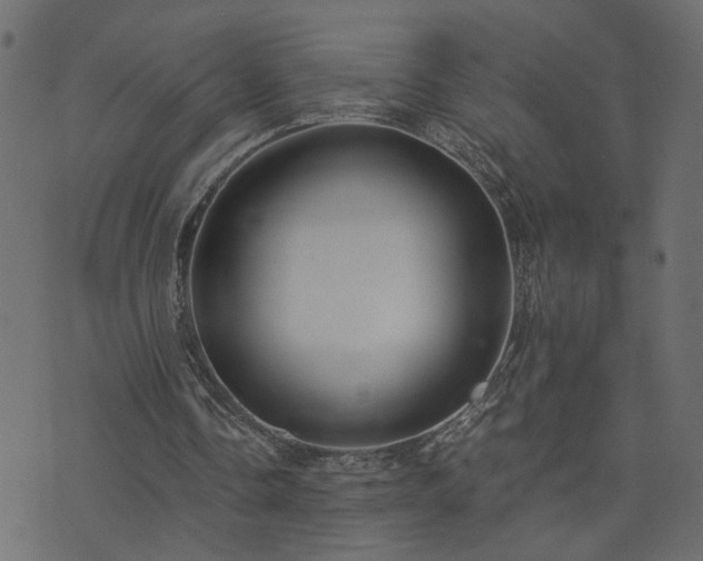 X0000073900338200608181004