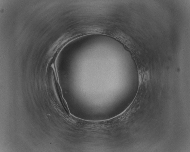 X0000073900339200608181004