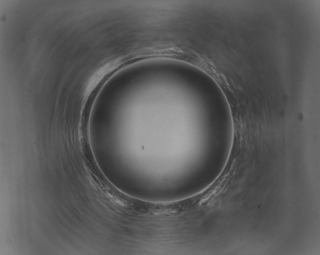 X0000073900340200608181004