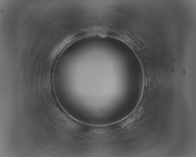 X0000073900341200608181004