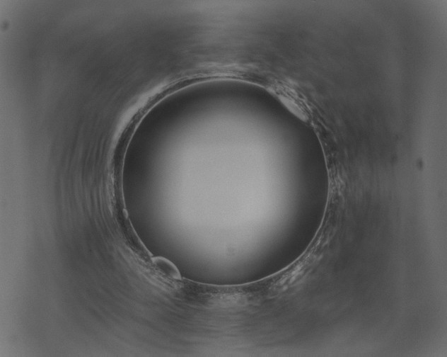 X0000073900342200608181004