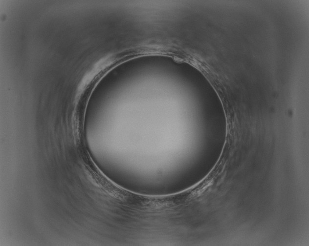 X0000073900343200608181004