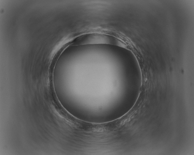 X0000073900344200608181004