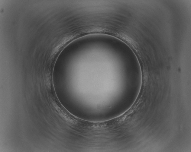 X0000073900345200608181004