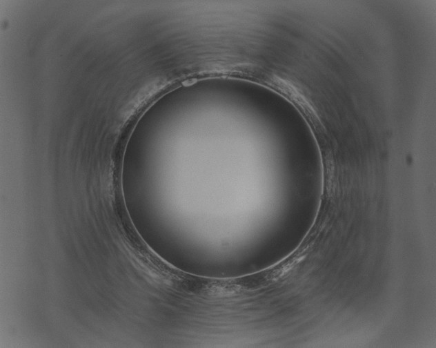 X0000073900346200608181004