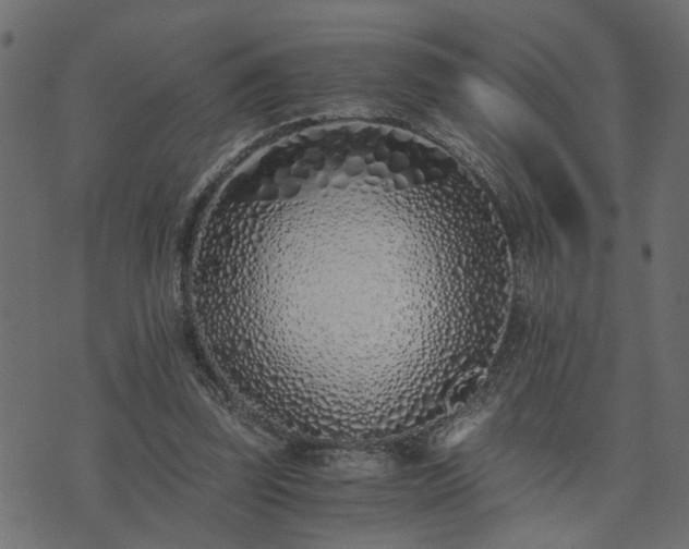 X0000073900347200608181004