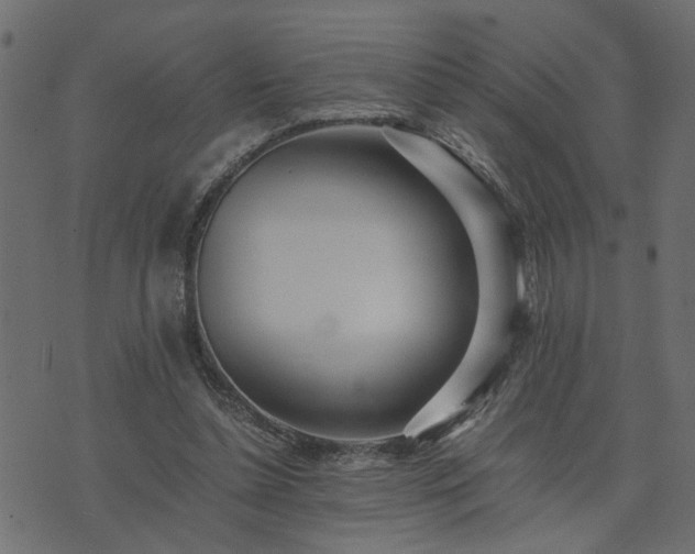 X0000073900348200608181004