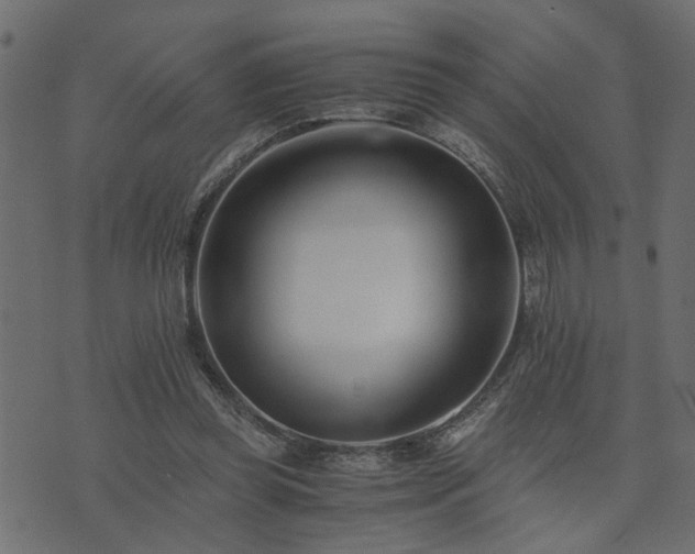 X0000073900349200608181004