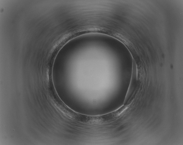 X0000073900350200608181004