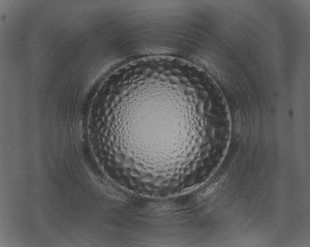 X0000073900351200608181004