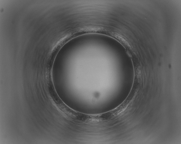 X0000073900352200608181004