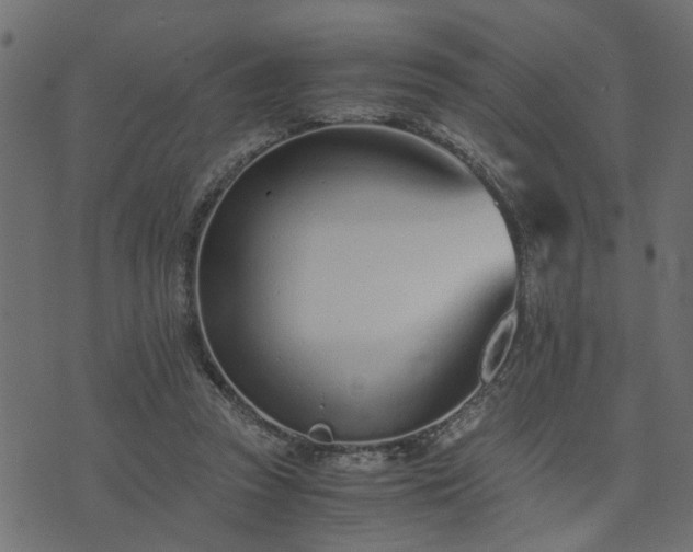 X0000073900353200608181004