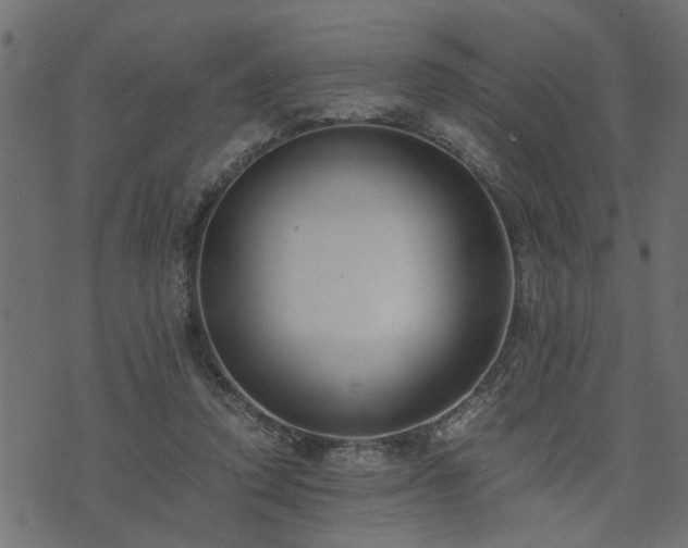 X0000073900354200608181004