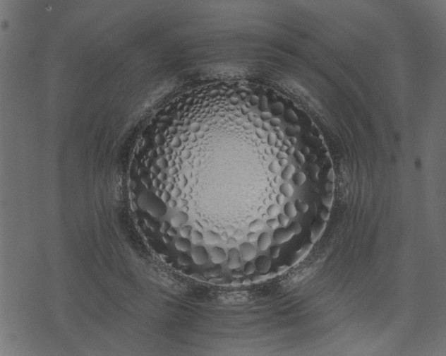 X0000073900355200608181004