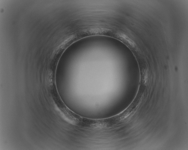 X0000073900356200608181004