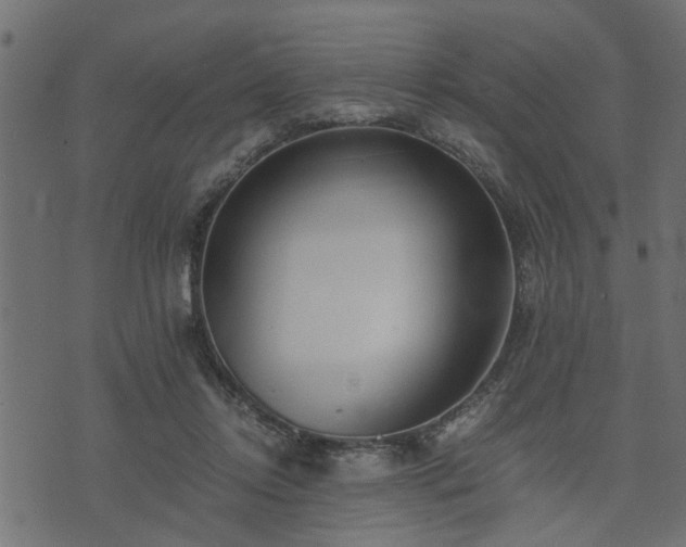 X0000073900358200608181004