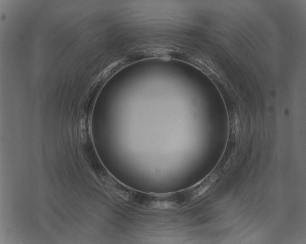 X0000073900360200608181004