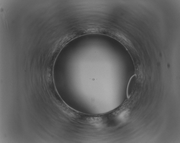 X0000073900361200608181004