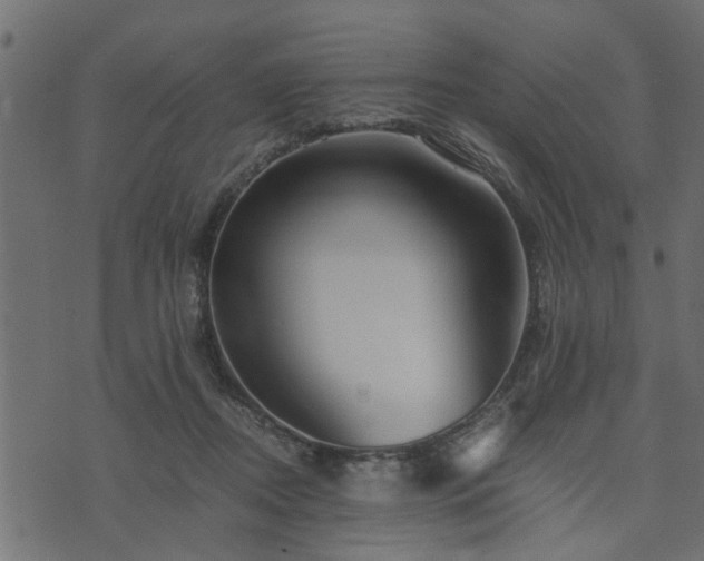 X0000073900362200608181004