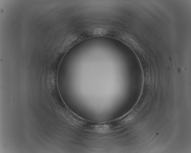 X0000073900363200608181004