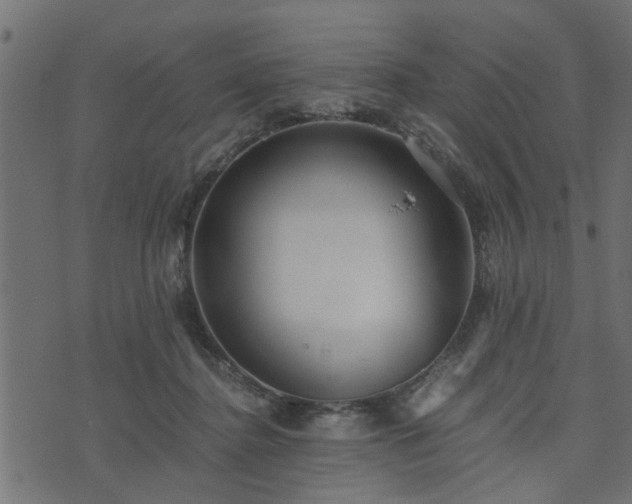 X0000073900364200608181005