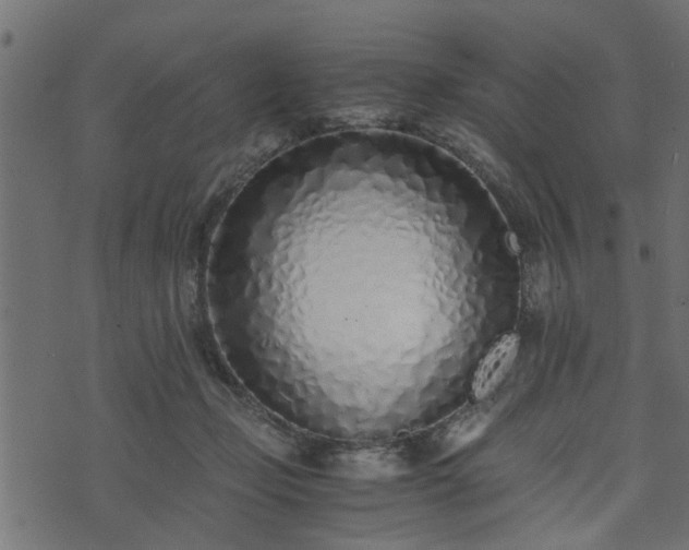 X0000073900365200608181005