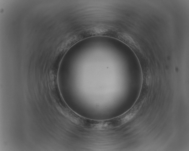 X0000073900366200608181005