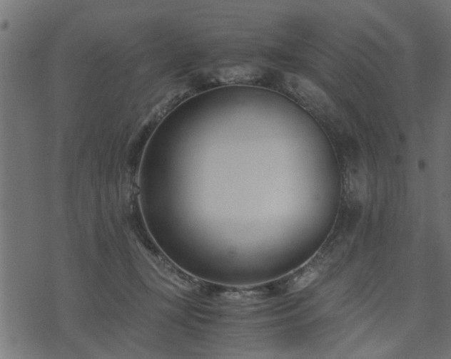 X0000073900367200608181005