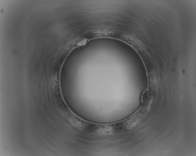 X0000073900369200608181005